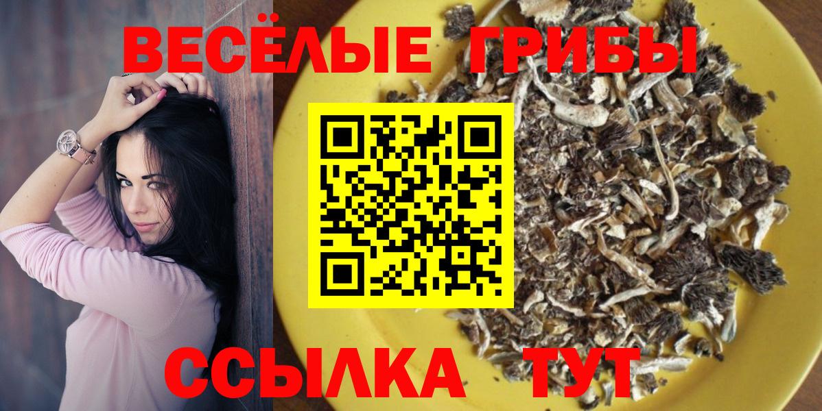 Новотроицк  Галлюциногенные грибы Psilocybe  Вход с VPN 